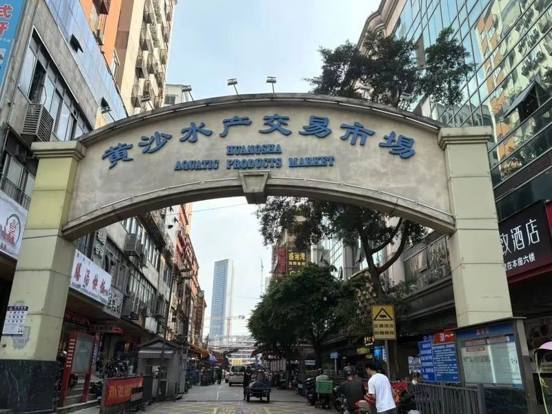 黃沙水產市場搬遷后，龍魚批發是否受影響？