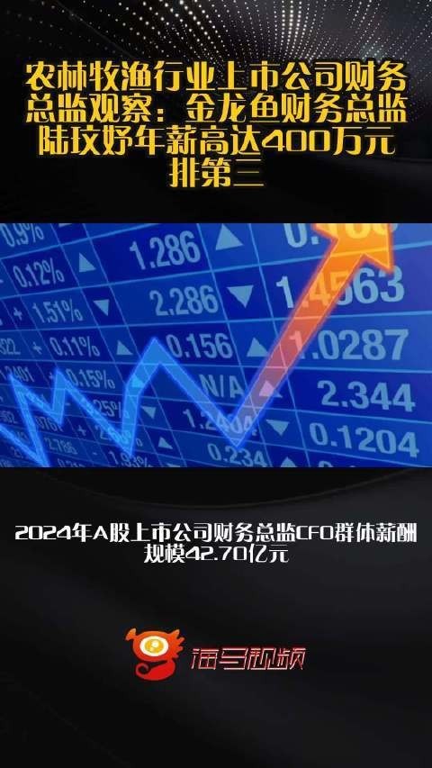 金龍魚財務總監陸玟妤背景 金龍魚財務總監陸玟妤背景 2025長城杯龍魚大賽 第3張