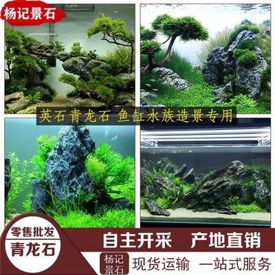 景石魚缸打造：景石魚缸造景石擺放的風(fēng)水講究魚缸造景石擺放的風(fēng)水講究