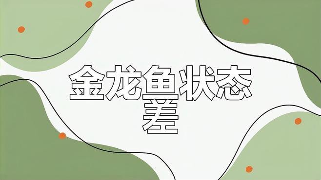 金龍魚不吃食如何調(diào)理？