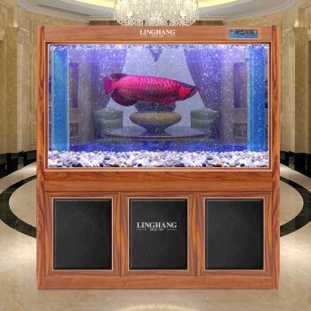廣州閩江魚缸專賣店在哪里啊（廣州閩江魚缸專賣店）
