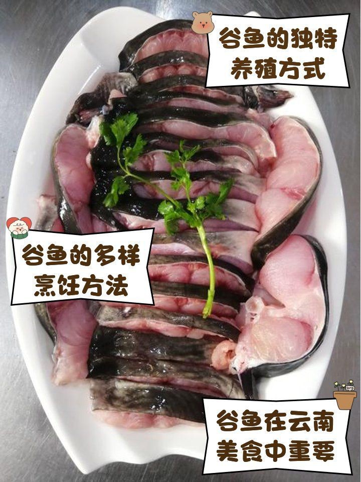 谷魚圖片真實大全