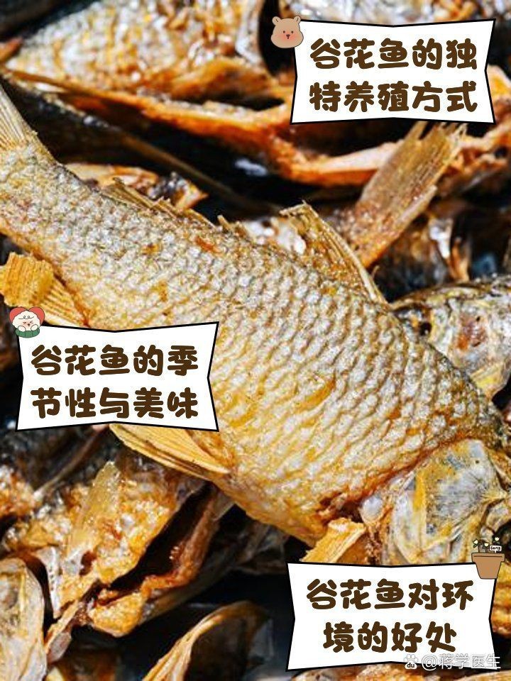 谷魚圖片真實大全