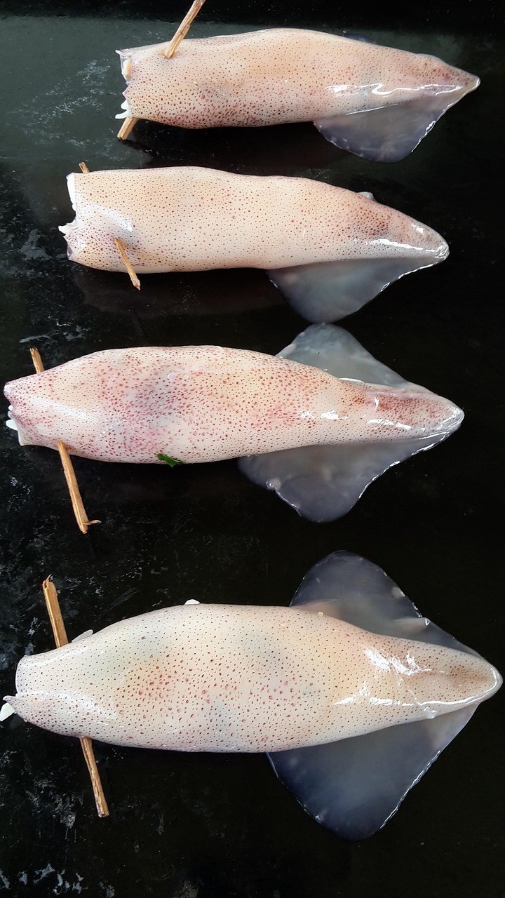 哪些國家是雷龍魚的主要出口國？