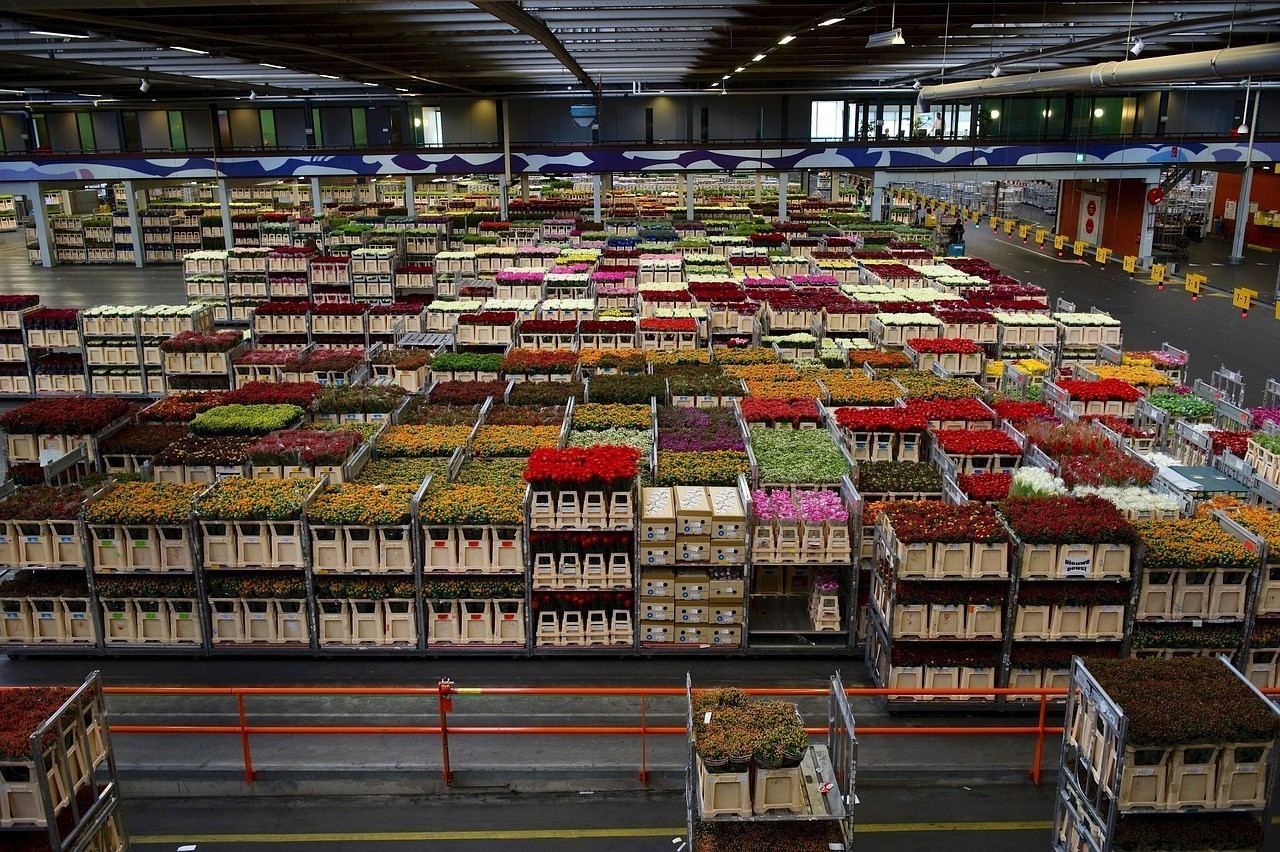 義烏市美妍化妝品商行（義烏市妍美生物科技有限公司）