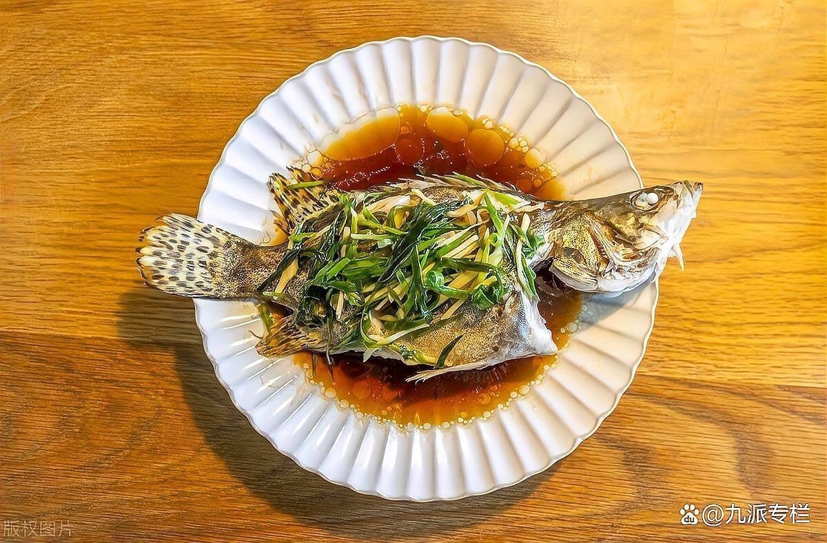 桂魚和鱸魚哪個好