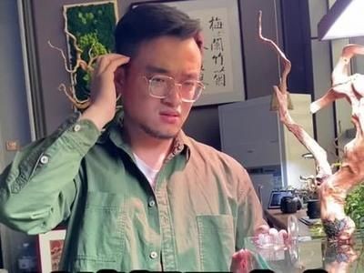 森森魚缸怎么不循環了只進水不出水