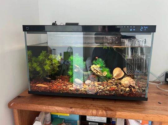 小米魚缸兩棲版怎么樣：小米魚缸兩棲版價格對比小米魚缸兩棲版價格對比