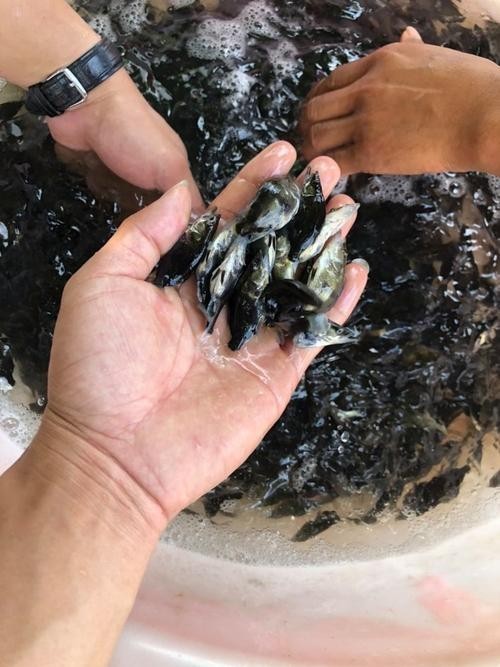 能推薦幾張高殺氣的龍圖嗎？