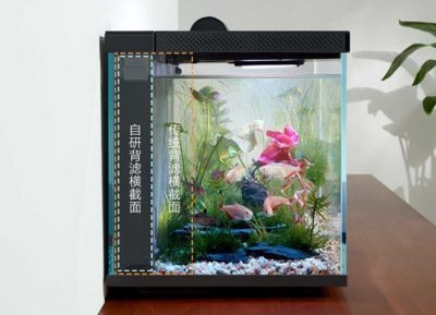 彩蝶魚缸s款（彩蝶魚缸s型）