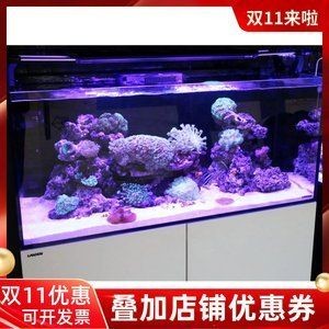 藍甸魚缸品牌介紹：藍甸魚缸怎么樣