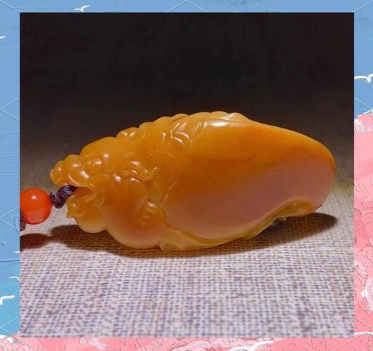 賽級紅龍魚圖片