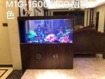觀賞魚的健康護理探索如何預防和處理觀賞魚的健康問題：新手養魚，如何進行水質管理