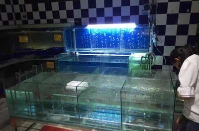 如何選擇合適的魚缸水循環系統：diy魚缸水循環系統的步驟詳解