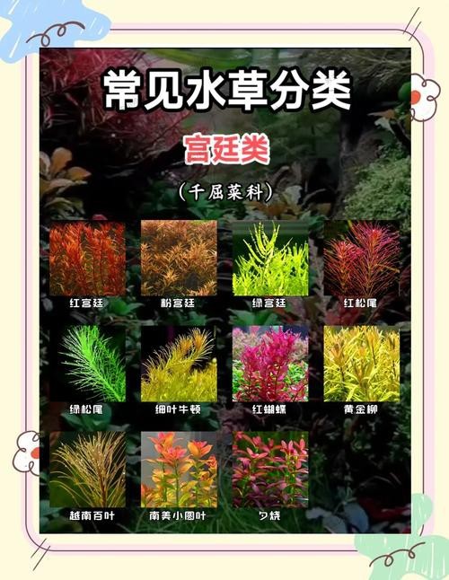 曼龍魚缸造景設計