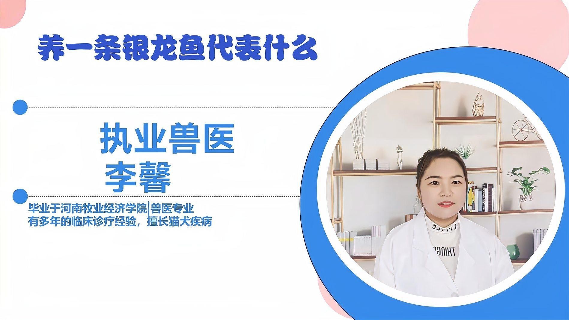 銀龍魚喂什么食物最好？