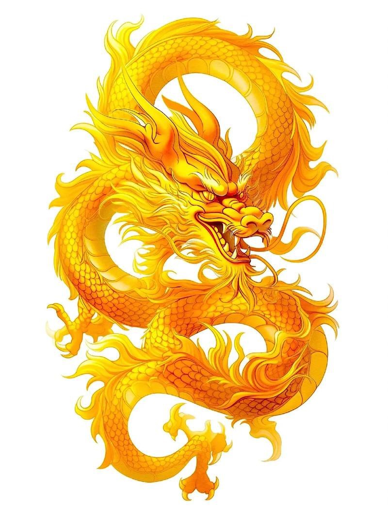 如何找到高清的龍圖片？