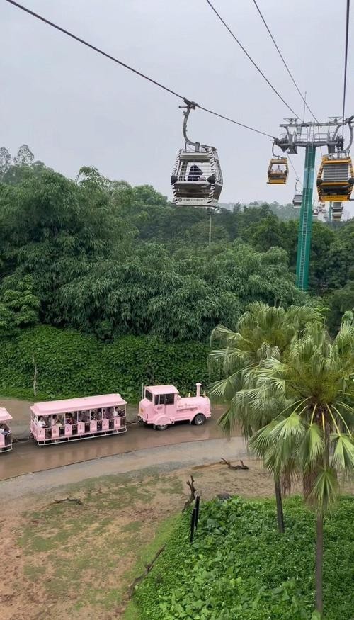 長隆野生動物園有哪些必玩的項目? 2025長城杯龍魚大賽 第4張 長隆野生動物園有哪些必玩的項目? 長隆野生動物園有哪些必玩的項目? 2025長城杯龍魚大賽 第4張