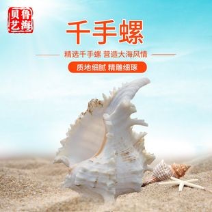 麒麟能擺在魚(yú)缸上嗎：麒麟擺放在魚(yú)缸上具有積極意義的意義但直接擺放在魚(yú)缸上