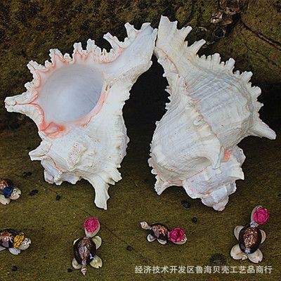 麒麟能擺在魚(yú)缸上嗎：麒麟擺放在魚(yú)缸上具有積極意義的意義但直接擺放在魚(yú)缸上