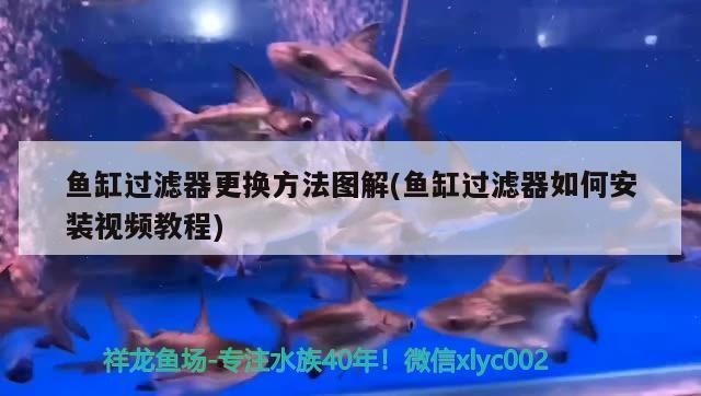 魚缸過濾改造視頻：如何改造魚缸過濾系統(tǒng)