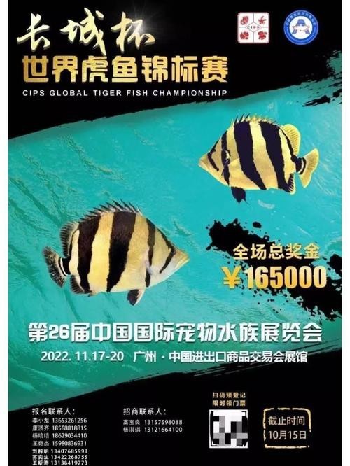 長城杯觀賞魚大賽2024