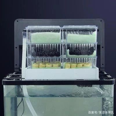 魚缸好與壞的區別（魚缸好與壞的區別：魚缸的好與壞可以從以下幾個方面進行區分）