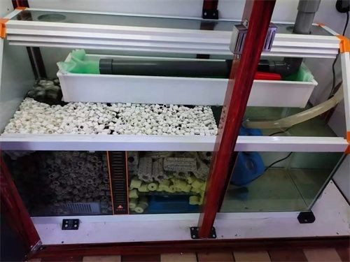 魚缸底濾的做法：魚缸底濾與上濾對比分析魚缸底濾適用魚缸底濾適用魚類推薦