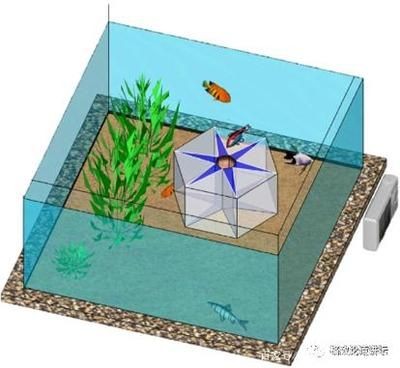 小魚未來魚缸值得買嗎：小魚未來魚缸用戶評價匯總 小魚未來魚缸值得買嗎：小魚未來魚缸用戶評價匯總 魚缸百科 第5張