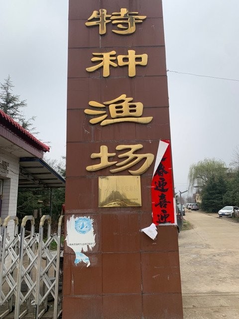 哪里可以找到西安的龍魚養殖者