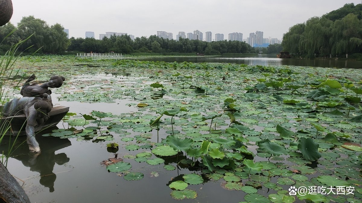皇宮龍魚漁場是否存在？