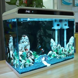 森森魚缸造景會(huì)不會(huì)炸缸（如何正確擺放魚缸防止炸缸）