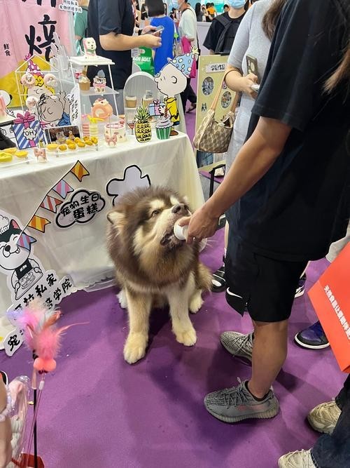 廣州寵物展會2025年展覽會