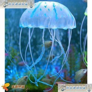 熱帶魚飼養指南熱帶魚飼養指南熱帶魚飼養指南熱帶魚飼養指南：海洋生態魚缸造景技巧 熱帶魚飼養指南熱帶魚飼養指南熱帶魚飼養指南熱帶魚飼養指南：海洋生態魚缸造景技巧 魚缸百科 第2張