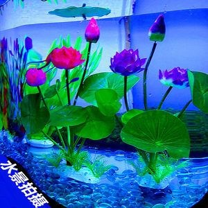 熱帶魚飼養指南熱帶魚飼養指南熱帶魚飼養指南熱帶魚飼養指南:海洋生態魚缸造景技巧 魚缸百科 第1張 熱帶魚飼養指南熱帶魚飼養指南熱帶魚飼養指南熱帶魚飼養指南:海洋生態魚缸造景技巧 熱帶魚飼養指南熱帶魚飼養指南熱帶魚飼養指南熱帶魚飼養指南:海洋生態魚缸造景技巧 魚缸百科 第1張