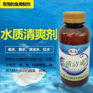 魚缸澄清劑你能管用嗎：如何選擇適合的魚缸澄清劑