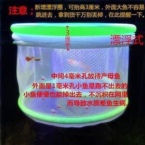 自制隔離網(wǎng)魚缸隔離網(wǎng)魚缸對(duì)隔離網(wǎng)魚缸的影響是什么：不同種類的魚缸對(duì)隔離網(wǎng)的需求