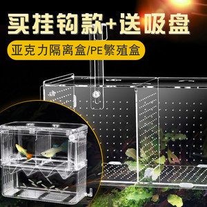 自制隔離網魚缸隔離網魚缸對隔離網魚缸的影響是什么：不同種類的魚缸對隔離網的需求