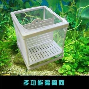 自制隔離網(wǎng)魚缸隔離網(wǎng)魚缸對(duì)隔離網(wǎng)魚缸的影響是什么：不同種類的魚缸對(duì)隔離網(wǎng)的需求