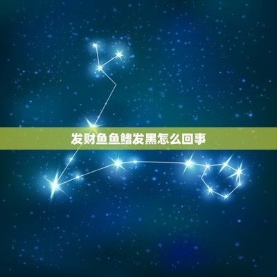 龍魚鰭變黑：龍魚鰭變黑可能由多種因素引起，