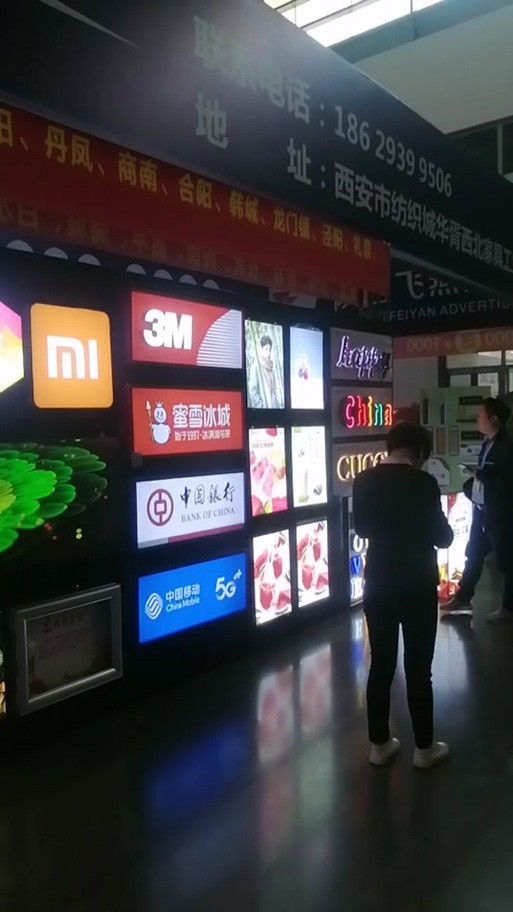 龍魚(yú)展會(huì)