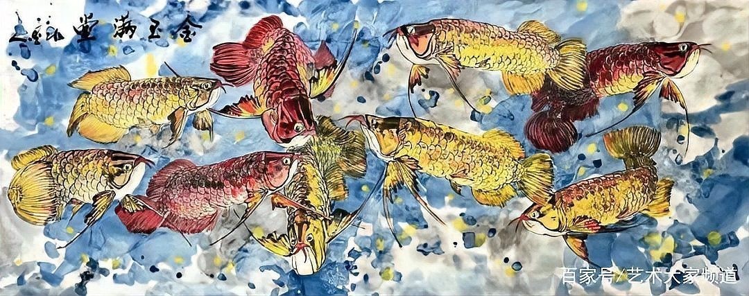 龍魚龍魚個人簡歷和成就