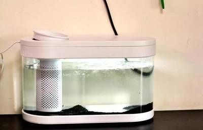 魚缸水泵聲音過大可能由多種因素引起養魚的樂趣：魚缸水泵噪音大怎么辦