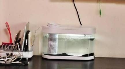 魚缸水泵聲音過大可能由多種因素引起養魚的樂趣：魚缸水泵噪音大怎么辦