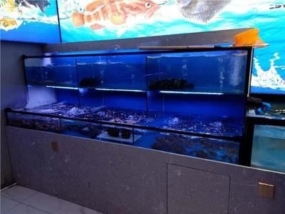 茂名化州市寵物店、水族館、水族館的區別：化州市寵物店和水族箱養護指南，化州魚缸養護指南