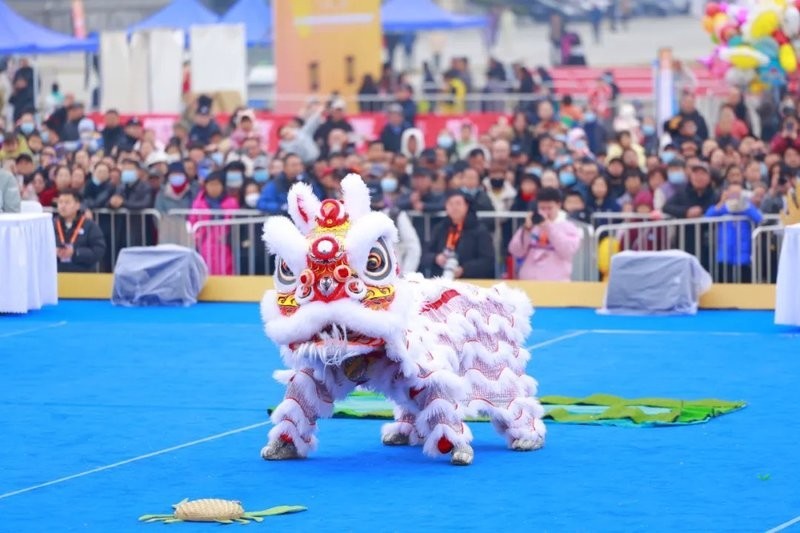 金龍總冠軍“帝國(guó)龍魚”背景