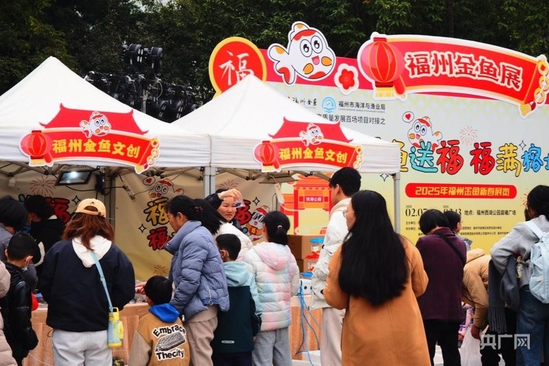 還有哪些福州金魚展覽活動？