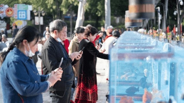 還有哪些福州金魚展覽活動？