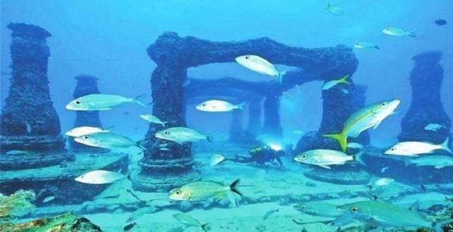 海王水族用品公司的研發歷程：海王水族用品公司的信息