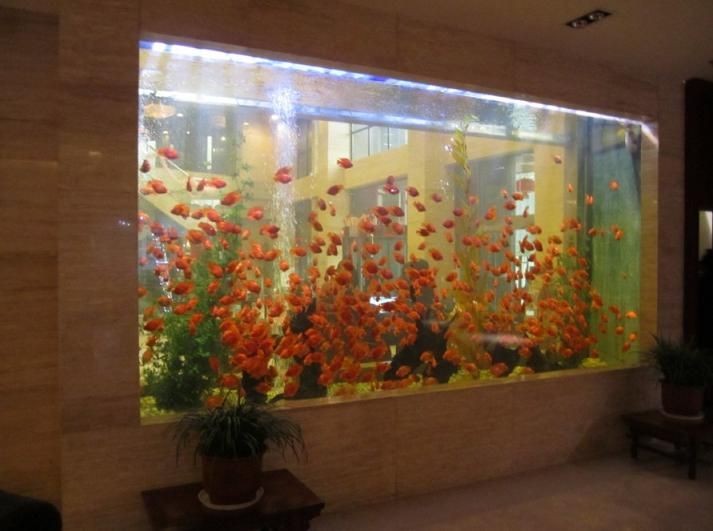 廣州定做大型魚缸的報價：廣州定做大型魚缸價格
